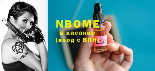 твердый Шадринск