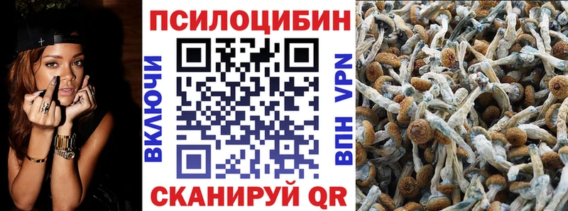 Псилоцибиновые грибы Cubensis  мориарти телеграм  Киселёвск 